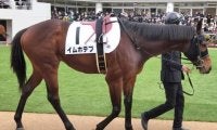 ダート界の新星誕生なるか 前走同舞台で9馬身差Vの期待馬が無傷2連勝狙う