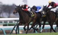 【アネモネS】トワイライトシティがデビュー2連勝…横山武は本日の4勝目