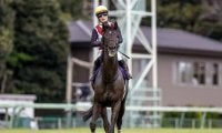 【高松宮記念】ルガル、ナムラクレアらが登録