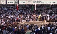人気力士に掲出された“可愛すぎる”懸賞旗「素敵」「ギャップえぐ」ファン大盛り上がり