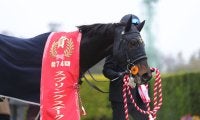 【スプリングS】石橋脩「一生懸命走ってくれた」ピコチャンブラック皐月賞への出走権獲得