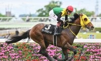 阪神大賞典、フラワーCなど4重賞/今週の競馬界の見どころ