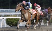【高知・八畳岩特別】4角で4頭が落馬の波乱…レースはフクチャンキングがV