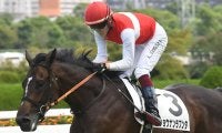 【阪神大賞典想定騎手】ショウナンラプンタは武豊騎手、ブローザホーンは菅原明良騎手