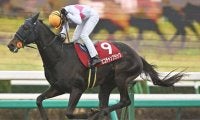 ピコチャンブラックがスプリングS親仔3代制覇達成 大物キタサンブラック産駒に共通する血統構成とは