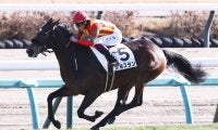 【フラワーC登録馬】良血ジョスランなど18頭