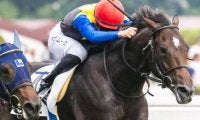 母は牝馬三冠馬、半姉もGI馬 期待の良血馬がクラシックに向け2勝目へ
