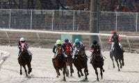 ホッカイドウ競馬で今年2回目の能力検査 77頭が合格