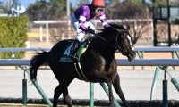 【毎日杯想定馬・騎手】リラエンブレム、ファンダムなど11頭