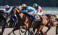 【日経賞想定馬・騎手】アーバンシック、シュヴァリエローズなど16頭