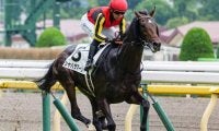 半兄に日本ダービー馬と皐月賞馬 良血がダートで連勝なるか