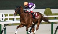 【阪神大賞典結果】ダービー4着馬サンライズアースが6馬身差圧勝 レイデオロ産駒の重賞初V
