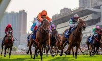 【香港ダービー】未勝利馬の伏兵キャップフェラがVで波乱
