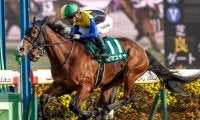 春のスプリント王決定戦・高松宮記念など4重賞/今週の競馬界の見どころ
