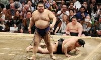 初土俵から20年の35歳高安、賜杯に届かず　見守った地元ファンは