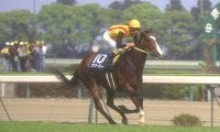 三冠馬ナリタブライアンが参戦 中京が沸きに沸いたGI昇格直後の高松宮杯