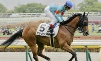 【先週のJRA抹消馬】関屋記念覇者の半妹アルメリア、ダート短距離で3勝挙げたエメラルドビーチなど