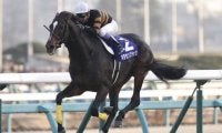 今年のPOGで注目すべき種牡馬は？ 繁殖牝馬の質が向上した3頭をピックアップ
