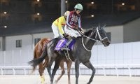 【京浜盃】ハッピーマンは7枠11番へ…羽田盃前哨戦