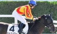 【毎日杯】クラシック出走には追加登録料200万円が必要 セルズパワーが意欲の参戦だ