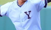 横浜商、東海大相模、慶応などが全勝で予選通過！・神奈川県大会地区予選【25年春高校野球】










