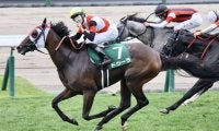 ドゥーラの競走馬登録抹消…繁殖入り
