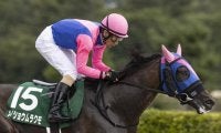 21年レパードSを柴田善臣騎手とのタッグで勝利 メイショウムラクモが新潟競馬場で乗馬に