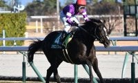【毎日杯出走馬・騎手確定】リラエンブレム＆浜中俊騎手、キングノジョー＆坂井瑠星騎手など10頭