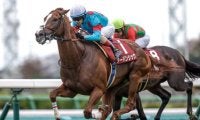 【日経賞出走馬・騎手確定】アーバンシック＆C.ルメール騎手、シュヴァリエローズ＆北村友一騎手など16頭