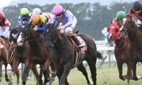 【高松宮記念・調教後馬体重】ナムラクレアは498kg、マッドクールは548kg