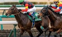 セレクト3.1億円馬が毎日杯に挑む 史上最高額のJRA重賞ウイナーとなるか