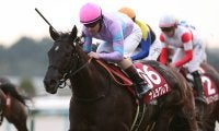 【競馬予想】高松宮記念、２年連続２着のナムラクレアは「今度こそ」戴冠を果たせるのか