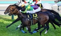 【高松宮記念】サトノレーヴは前走からマイナス5kg…出走馬の調教後の馬体重