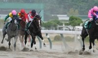 メイショウムラクモの競走馬登録抹消