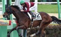 3歳ダート路線の主役候補に名乗り上げるか 無傷連勝中の素質馬が伏竜Sに参戦