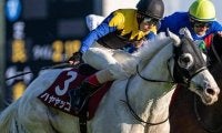 “白毛のアイドル”が日経賞参戦 9歳でレース史上最高齢Vなるか
