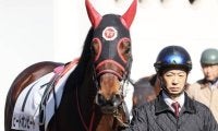 平地GII覇者が障害で無傷2連勝狙う 三木ホースランドJS参戦