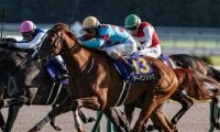 日経賞は同じ中山芝2500mの有馬記念組が優勢？ 今年は2頭が出走