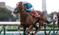 【日経賞予想】有馬記念と同舞台で争われる別定戦 上位人気が好調で実績を信頼