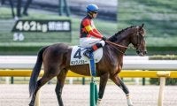 【毎日杯予想】春のクラシックに向かう3歳馬にとってラストチャンス 器用さよりも総合力、決め手勝負に