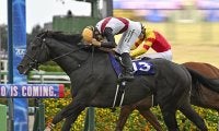 【競馬予想】高松宮記念は強力６歳勢が中心も、馬場回復で浮上するスプリント王の逆襲に期待