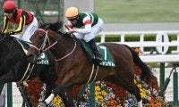 【毎日杯結果】ファンダムが無傷の3連勝で重賞初制覇！
