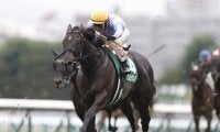 【高松宮記念予想】春の短距離王決定戦は牡馬やセン馬が中心!? 牝馬は年齢や実績に注意が必要