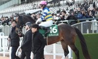 【競馬予想】高松宮記念は「とにかく荒れる」　勢いある伏兵２頭が人気の既成勢力を一蹴する！
