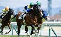 【中京6R】遅咲き良血馬がデビュー2連勝…1年8ヶ月ぶりインビジブルセルフがV