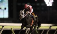 的場文男騎手がJpnI・2勝の“相棒”を振り返る 「的場騎手ベストレースファン投票」の結果発表