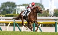 【ドバイSC枠順】日本ダービー馬ダノンデサイルは3番ゲート、G1・7勝のレベルスロマンスは4番ゲート