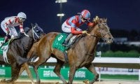 【ドバイGS枠順】日本のリメイクは8番ゲート、米最優秀短距離牡馬ストレートノーチェイサーは9番ゲート