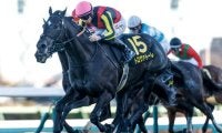 【ダービー卿CT出走馬・騎手確定】トロヴァトーレ＆J.モレイラ騎手、ロジリオン＆松山弘平騎手など14頭