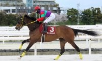 【兵庫女王盃】テンカジョウが交流重賞2勝目…アーテルアストレアは2着